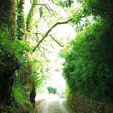 Frühstückspension Le Vie Mediterranee 3*