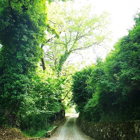 Le Vie Mediterranee Frühstückspension 3*