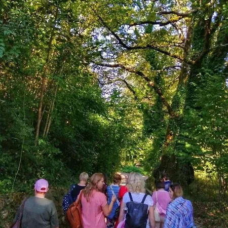 Frühstückspension Le Vie Mediterranee 3*