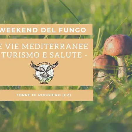 Le Vie Mediterranee לינה וארוחת בוקר Torre di Ruggiero