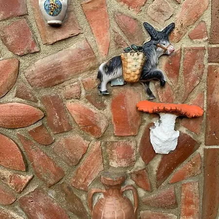 Frühstückspension Le Vie Mediterranee Torre di Ruggiero